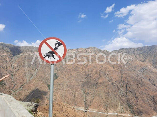 Indicative signs on mountain roads in Al Bahah Governorate, a warning sign prohibiting feeding baboons in wild nature reserves, spreading environmental awareness and preserving the natural balance of the environment, natural landscapes in the Saudi rocky peaks and highlands, famous tourist places in the Kingdom.
