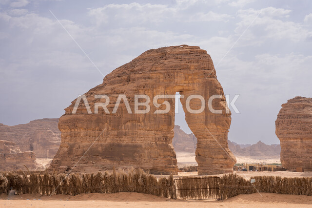 صخرة الفيل في محافظة العلا، رمال الصحراء الذهبية الناعمة، المعالم الأثرية القديمة التاريخيه في صحاري المملكة، التكوينات والتشكيلات الصخرية الطبيعية في المناطق الصحراوية، اماكن سياحية مشهورة في السعودية، منظر السماء المليئة بالغيوم البيضاء