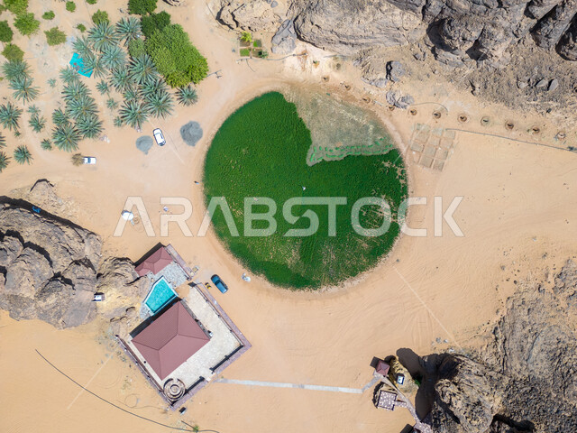 مزرعه دائرية وسط البيئة الرمليه, صورة علوية عامودية للمساحات الخضراء الواسعة في محافظة العلا، واحات النخيل في السعودية في المناطق الصحراوية, أشجار ومحاصيل زراعيه محلية وطنية, التضاريس والجبال الطبيعية