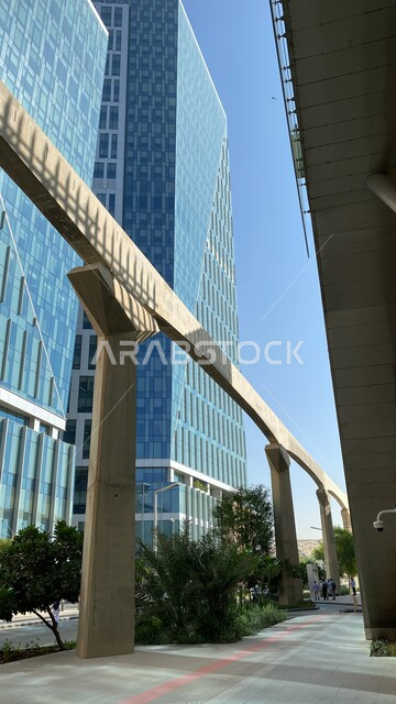Buildings and skyscrapers in the city of Riyadh, the architectural art of the facilities and towers of the King Abdullah Caved Center, economic and financial growth and development in the Kingdom of Saudi Arabia, famous tourist attractions in the daytime, trees and green plants.