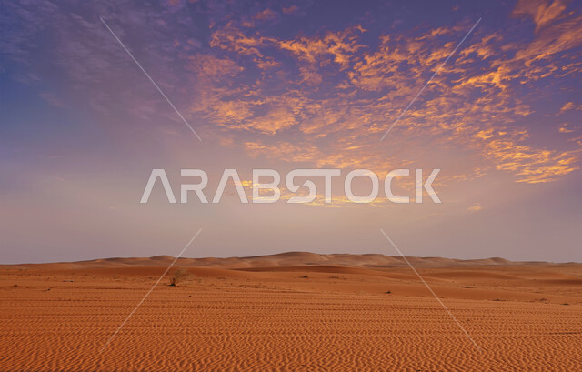 النباتات و الاعشاب البرية ،غروب الشمس فوق الكثبان الرملية الذهبية الناعمة, الهضاب و التلال في المناطق الجبلية,  منظر الطبيعه الصحراويه في المملكة العربية السعودية، خلفية الطبيعه