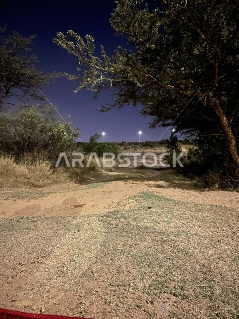 الطرقات المضاءة في وقت الليل, أماكن الرحلات في المملكة العربية السعودية, الأشجار والنباتات الخضراء, الاستمتاع بالهدوء والمناظر الطبيعية الليلة, معالم سياحية مشهورة, الترفيه والتسلية مع الأصدقاء وقضاء وقت ممتع
