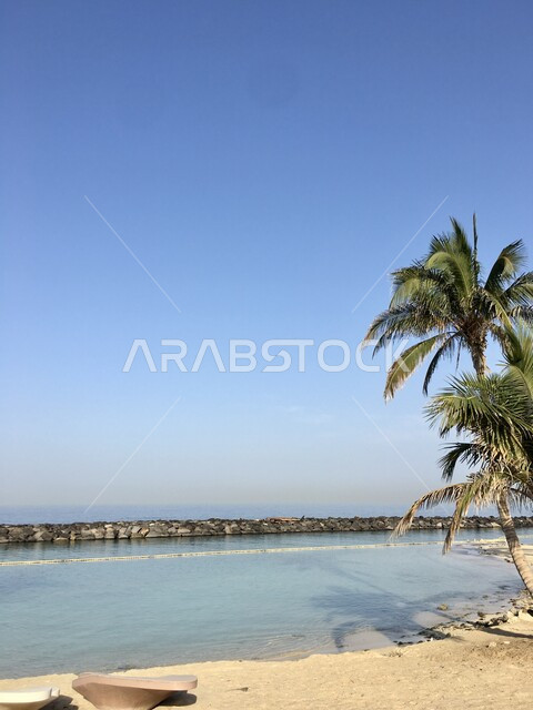 أشجار النخيل والاهتمام بمناظر الطبيعة على شواطئ البحر الأحمر, الواجهة البحرية في المملكة العربية السعودية في وقت النهار, أماكن النزهات والرحلات السياحية المشهورة, الاستمتاع بالعطلة الصيفية في مدينة جدة الساحلية