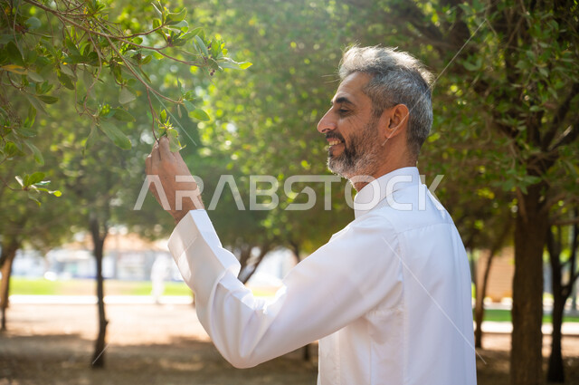 مفهوم المحافظة على الأشجار، الاستجمام والسرور والشعور بالراحة، رجل كبير السن عربي سعودي خليجي مبتسم يرتدي الثوب التقليدي ويمسك بيده ورقة من الشجرة، التنزه و المشي في الحدائق العامة لاستنشاق الهواء الطلق، الطبيعة الخضراء في المملكة العربية السعودية.