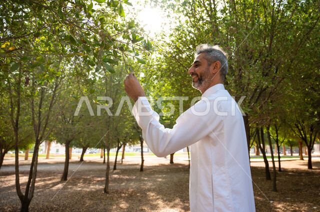 إيماءات السرور والسعادة، مفهوم المحافظة على الأشجار، رجل شايب عربي سعودي خليجي مبتسم يرتدي الثوب التقليدي ويمسك بيده ورقة من الشجرة، التنزه و المشي في الحدائق العامة لاستنشاق الهواء الطلق، الطبيعة الخضراء في المملكة العربية السعودية.