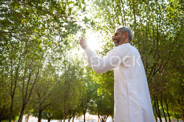 تعابير تدل على السرور والسعادة، مفهوم المحافظة على الأشجار، رجل كبير السن عربي سعودي خليجي مبتسم يرتدي الثوب التقليدي ويمسك بيده ورقة من الشجرة، التنزه و المشي في الحدائق العامة لاستنشاق الهواء الطلق، الطبيعة الخضراء في المملكة العربية السعودية.