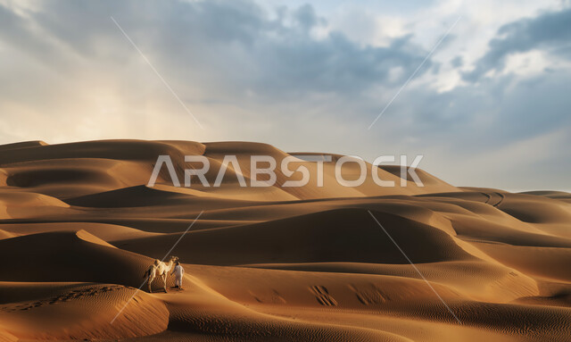 التلال و الكثبان الرملية في صحراء الربع الخالي, المناظر الطبيعية في البيئة الصحراوية في المملكه العربيه السعودية، تشكيلات الرمال الذهبية الناعمة, خلفية الطبيعه الصحراوية