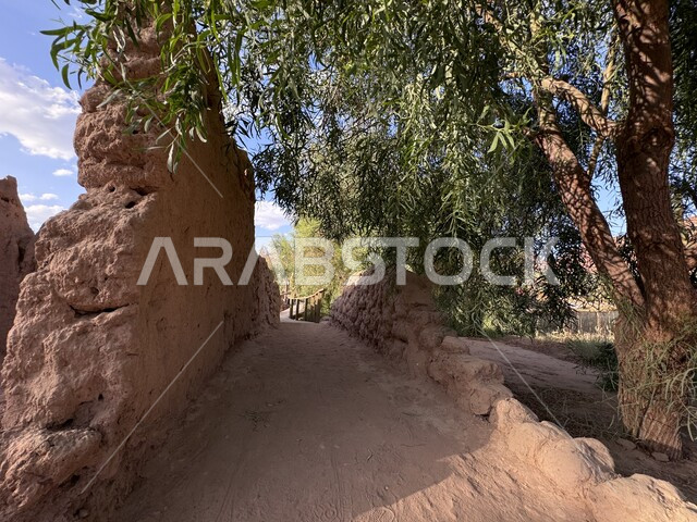 المدن المهيئة للسياحة في المملكة العربية السعودية, الطرقات الطينيه في القمم والمرتغعات الجبلية, الرحلات والمنتزهات السياحية المشهورة في محافظة العلا التاريخيه, المناظر الطبيعه والأشجار والنباتات الخضراء, قضاء وقت ممتع في الهواء الطلق