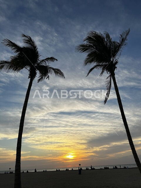 الاهتمام بزراعة أشجار النخيل على الواجهة البحرية على شواطئ البحر الأحمر, قدوم السياح من شتى أنحاء العالم إلى مدينة جدة الساحلية, أماكن الرحلات السياحية المشهورة, الاستمتاع بمنظر البحر في وقت شروق الشمس بالمملكة، الرحلات والنزهات العائلية في العطلة الصيفية.