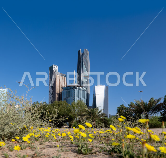 أشجار النخيل الخضراء المحيطة بمركز الملك عبد الله المالي (كافد) في الرياض، الوجهة المثالية للمال والأعمال بمعايير عالمية، فنون وتصاميم هندسية معمارية مميزة للأبراج الاقتصادية وناطحات السحاب، الشركات الراقية الرائدة في الخدمات المصرفية والتكنولوجيا المالية.