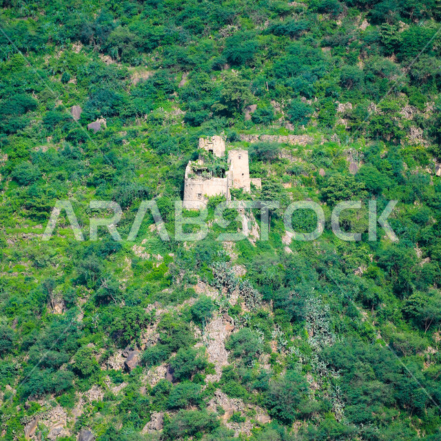 Historical monuments on the mountain peaks and heights in the city of Jazan, ancient buildings in the Faifa Governorate in Saudi Arabia, trees and green plants on the slopes of the mountains, nature background
