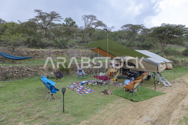 الرحلات السياحية الاستكشافية في المملكة العربية السعودية, الطبيعة الجبلية في مدينة أبها بمنطقة عسر, المناظر الطبيعيه في الجبال والقمم والمرتفعات, الأشجار والنباتات الخضراء المزروعه والمحيطة بمدن السياحة والاصطياف, مناطق وأماكن التخييم والجذب السياحي المشهورة