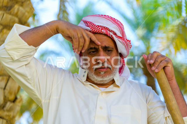 مزارع سعودي خليجي بايمائات و تعابير وجه مختلفه ، يبذل مجهود كبير في حصاد التمور و الاهتمام باشجار النخيل  ، الموسم الزراعي ، موسم جني محصول التمور في المناطق الزراعية ، مزارع النخيل المثمرة في المملكة العربية السعودية ، مزارع لانتاج التمور ، المناطق الزرا
