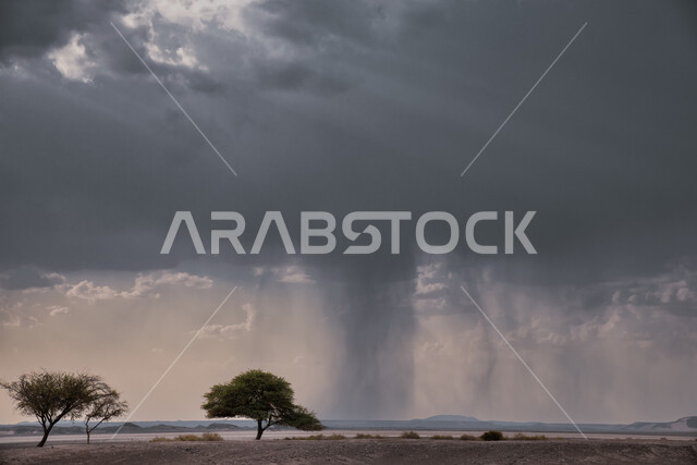 تساقط الأمطار من السحب الداكنة في صحراء مدينة العلا, الأجواء الشتوية الغائمة والماطرة, الطبيعة الصحراوية في المدينة السياحية, المناظر الطبيعية في شتاء المملكة العربية السعودية, معالم وأماكن السياحة المشهورة