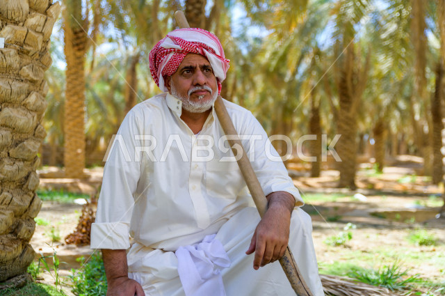 مزارع سعودي خليجي بايمائات و تعابير وجه مختلفه ، يبذل مجهود كبير في حصاد التمور و الاهتمام باشجار النخيل  ، الموسم الزراعي ، موسم جني محصول التمور في المناطق الزراعية ، مزارع النخيل المثمرة في المملكة العربية السعودية ، مزارع لانتاج التمور ، المناطق الزرا