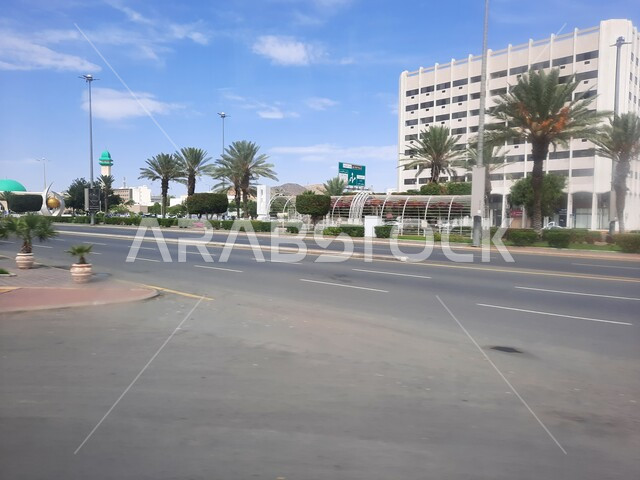 الطرق والشوارع المعبدة والأرصفة الاسفلتية في مدينة الطائف، الاهتمام بزراعة النباتات والأشجار الخضراء في المدن السياحية المشهورة، مناطق وأماكن الجذب السياحي والمناخ المثالي، التطور الهندسي المعماري في المباني، منظر السماء الصافية الزرقاء.