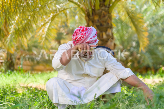 مزارع سعودي خليجي يقوم بحصاد و التقاط التمور، مهنة تراثية  ، الموسم الزراعي ، موسم جني محصول التمور في المناطق الزراعية ، مزارع النخيل المثمرة في المملكة العربية السعودية ، مزارع لانتاج التمور ، المناطق الزراعية للنخيل