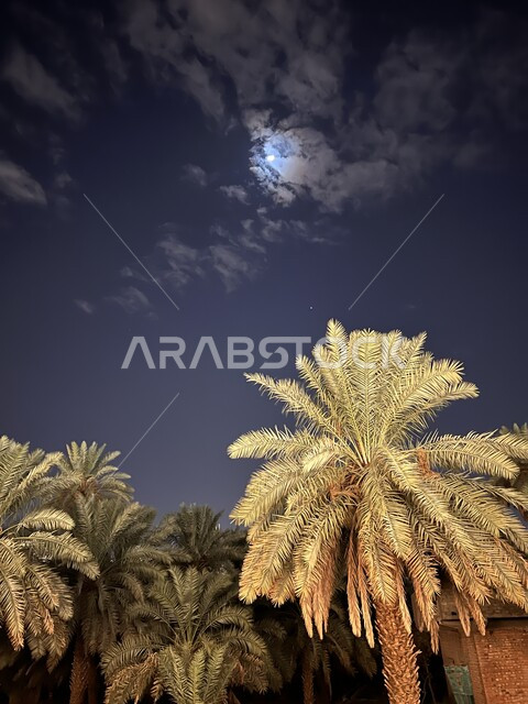 Famous religious landmarks and places at night, planting palm trees on the roads of the Kingdom of Saudi Arabia, Quba Avenue and pedestrian-friendly areas in Medina, urban development and interest in shops and residential buildings.