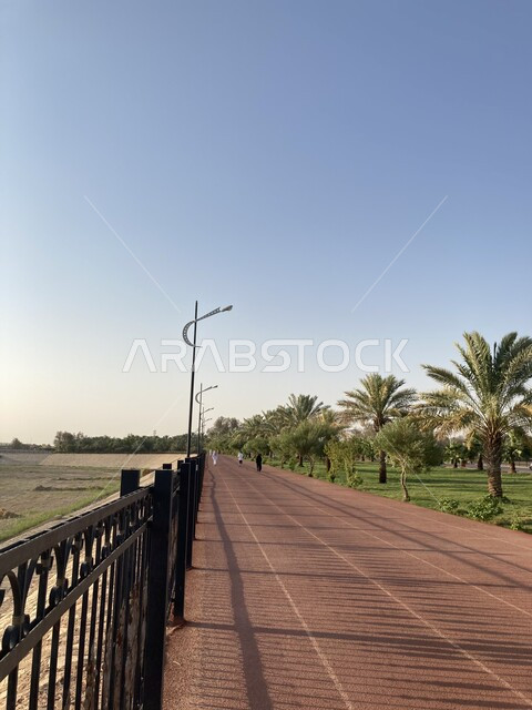 الاهتمام بالتشجير وزيادة المساحات الخضراء على طرفي ممشى حديقة حي الخليج في المملكة العربية السعودية, الاحياء السكنية في منطقة بريدة بالقصيم، الاستمتاع بقضاء وقت ممتع في الأماكن والمعالم السياحية المشهورة في وقت النهار