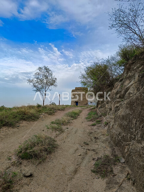 Ancient ancient houses and residential buildings in the mountains of Faifa Governorate in Jizan, natural landmarks and tourist places in the Kingdom of Saudi Arabia, a close-up of a bumpy road in the city, green agricultural terraces and trees on the mountain peaks and heights, nature backgrounds