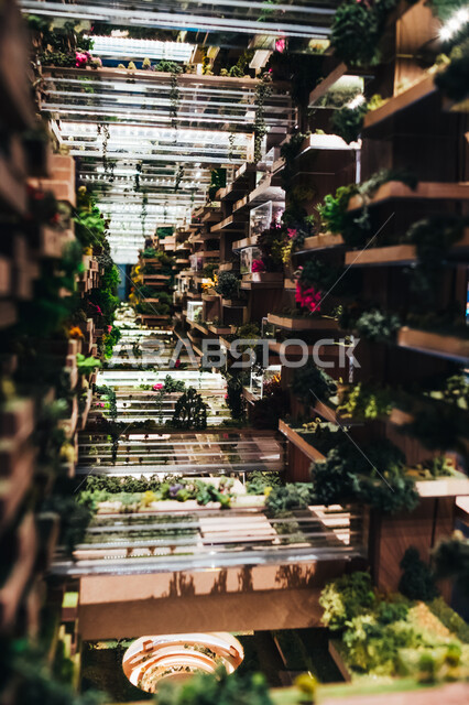 مدن متناغمة مع الطبيعة الخضراء، معرض نيوم لنماذج تصاميم مدينة المستقبل "ذا لاين" في الرياض، عروض مرئية وتقنيات هندسية ومعمارية، التعرف على مستقبل المجتمعات الحضرية، التطورات العالمية في التصميمات المبتكرة، رؤية مستقبلية سعودية 2030