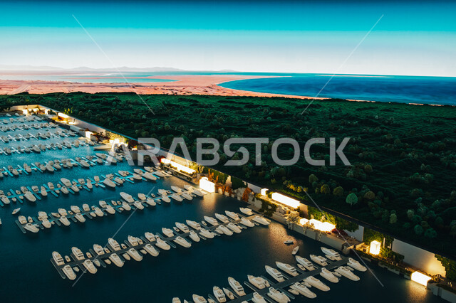 مجسم تصميم الواجهة البحرية في المدن الساحلية، رؤية مستقبلية سعودية2030، التعرف على مستقبل المجتمعات الحضرية، التطورات العالمية في التصميمات المبتكرة، معرض نيوم لنماذج ومجسمات تصاميم مدينة المستقبل "ذا لاين" في الرياض، عروض مرئية وتقنيات هندسية ومعمارية