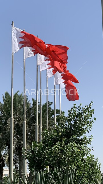 الاحتفال باليوم الوطني البحريني 16 ديسمبر، رايات مملكة البحرين ترفرف في سماء البلاد، الأشجار والنباتات الخضراء، أعلام الدول العربية، رموز وثقافات وطنية, حب الوطن والانتماء إليه، إحياء ذكرى استقلال الدولة 14 أغسطس.