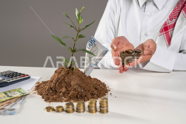 إدخار وتوفير الأموال، بورتريه مقرب لرجل عربي خليجي سعودي يرتدي الثوب التقليدي والشماغ يحمل بيده عملات نقدية معدنية للريال السعودي، استخدام الالة الحاسبة لاجراء العمليات الحسابية, نبتة صغيرة في تربتها الخصبة، مفهوم الاقتصاد والاستثمار المالي, خلفية رمادية
