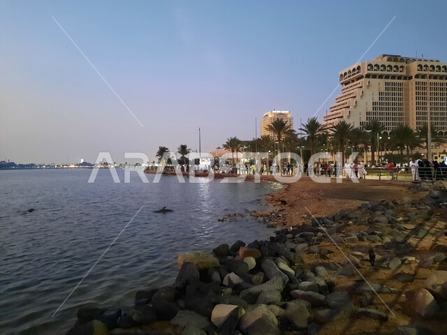 الفن المعماري للفنادق والمنتجعات الفاخرة، الواجهة البحرية في السعودية، الاستمتاع برحلة صيفية مميزة ، منظر كورنيش جدة وقت غروب الشمس، الأماكن السياحية الترفيهية في المملكة، مركز جذب واستقطاب السائحين من العالم، الاهتمام في زراعة أشجار النخيل، خلفيات الطبيعة.