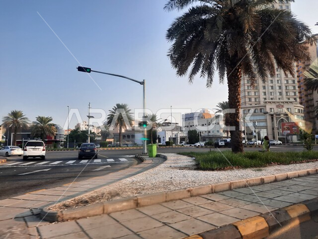 اشارات مرورية لتنظيم حركة السير، الشوارع والطرقات الرئيسية المعبده المؤدية إلى المسجد الحرام في مكة المكرمة، الاهتمام بزراعة أشجار النخيل، المركبات والحجاج أثناء قدومهم إلى الحج، الفنادق السياحيه الراقيه في مدينة الرياض.