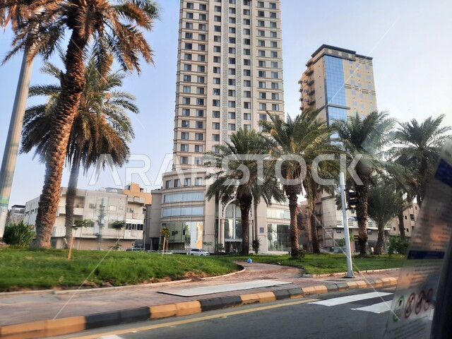 الاهتمام بزراعة أشجار النخيل، التصميم المعماري الفاخر للأبنيه والأبراج السكنيه, الشوارع والطرقات الرئيسية المعبده المؤدية إلى المسجد الحرام في مكة المكرمة، المركبات والحجاج أثناء قدومهم إلى الحج، الفنادق السياحيه الراقيه في الرياض .