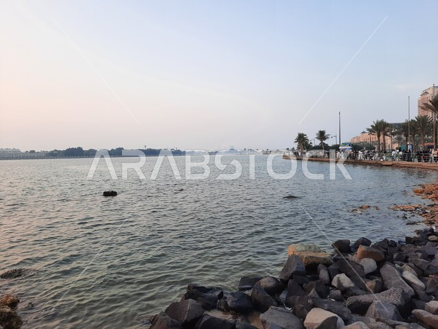 منظر كورنيش جدة وقت غروب الشمس، مناطق جذب واستقطاب السائحين من العالم، الواجهة البحرية في السعودية، الاستمتاع برحلة صيفية مميزة ، الأماكن السياحية الترفيهية في المملكة، الاهتمام في زراعة أشجار النخيل، خلفيات الطبيعة.