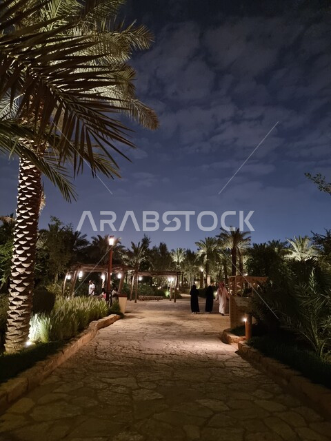  زراعة النباتات وأشجار النخيل الخضراء, مشروع تطوير الدرعية التاريخية في مدينة الرياض بالمملكة العربية السعودية، منتزه ومطل البجيري المضاء في وقت الليل، مركز ومعلم ثقافي سياحي تاريخي سعودي مشهور، القرية التراثية والمباني الاثرية