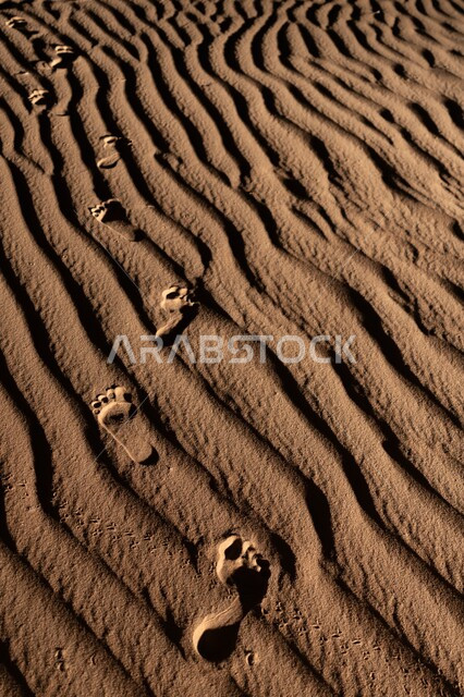 آثار الأقدام على الرمال الذهبية الناعمة و التضاريس الصحراوية في مدينة نجران, صورة مقربة للكثبان الرملية في صحراء المملكة العربية السعودية, أماكن السياحة ورحلات السفاري والتطعيس