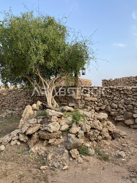 البيوت التاريخية القديمة المبنية من الحجارة وجريد النخل، صورة مقربة للجدران الحجرية في قرية القصار، جزيرة الفرسان في جازان غرب المملكة العربية السعودية، منتجعات ومنتزهات صيفية، عذوبة المياه الجوفية .
