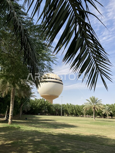 Afforestation and attention to agriculture, national crops and local products, famous natural tourist parks, a close-up of the Buraidah water tower in the Qassim region, Al-Sabakh palm farms in the Kingdom of Saudi Arabia