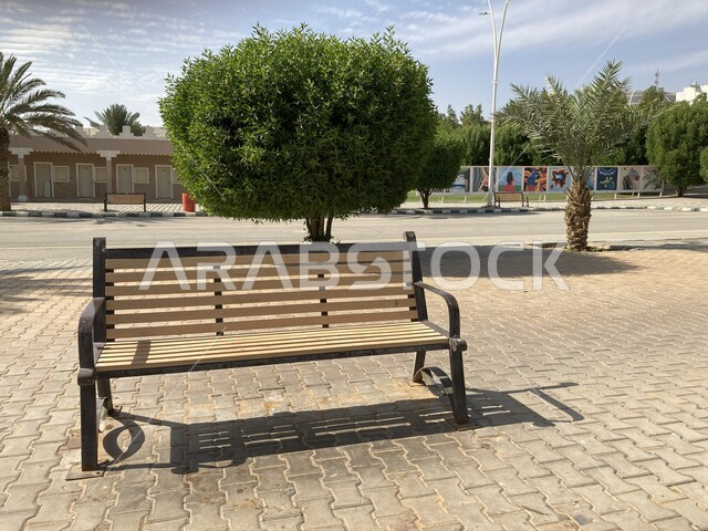 الاستمتاع بالأجواء الهادئة في المساحات الخضراء، الاهتمام بالزراعة والمنتجات المحلية الوطنية, أماكن ومعالم ومنتزهات طبيعية سياحية مشهورة، صورة مقربة لكرسي خشبي في حدائق القصيم الترفيهية في المملكة العربية السعودية، مزارع نخيل الصباخ في بريدة