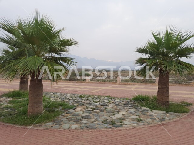  السياحة وقضاء الوقت الممتع في المناطق المرتفعة, زراعة الأشجار والنباتات الخضراء في مدن المملكة العربية السعودية, معالم سياحية مشهورة لجذب الزوار من شتى أنحاء العالم, الطرقات والشوارع المعبدة في أماكن القمم والمرتفعات الجبلية, ممشى مدينة الحجرة في منطقة الباحة