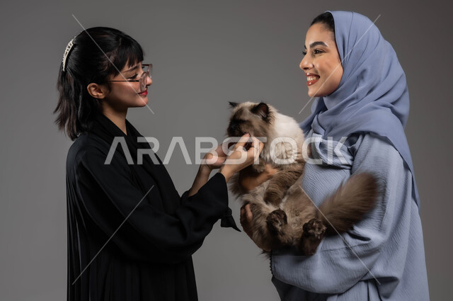 الأثر الإيجابي وتحسين المزاج عند تربية الحيوان الأليف، مفهوم الرفق بالحيوان والعطف عليه، إيماءات السرور والسعادة، بورتريه مقرب لصديقتين عربيتين خليجيتين سعوديتين تستمتعان باللعب مع القطة، خلفية رمادية