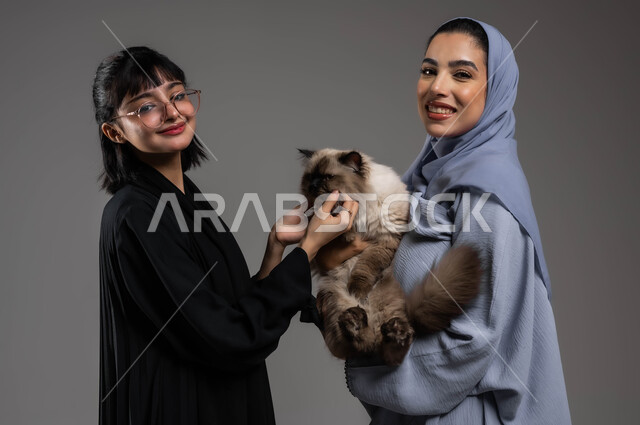 مفهوم الرفق بالحيوان والعطف عليه، النظر إلى الكاميرا بإيماءات السرور والسعادة، تحسين المزاج وملء الفراغ عند تربية الحيوان الأليف، بورتريه مقرب لصديقتين عربيتين خليجيتين سعوديتين تستمتعان باللعب مع القطة الأليفة ، خلفية رمادية