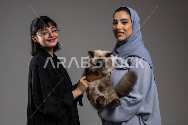مفهوم الرفق بالحيوان والعطف عليه، النظر إلى الكاميرا بإيماءات السرور والسعادة، تحسين المزاج وملء الفراغ عند تربية الحيوان الأليف، بورتريه مقرب لصديقتين عربيتين خليجيتين سعوديتين تستمتعان باللعب مع القطة الأليفة ، خلفية رمادية