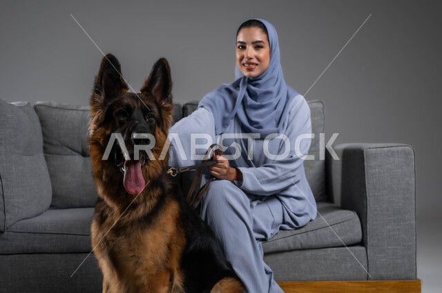النظر الى الكاميرا بإيماءات السرور والسعادة، مفهوم الرفق بالحيوان، المرح واللعب مع الحيوانات الأليفة، بورتريه لإمرأة عربية خليجية سعودية مبتسمة ترتدي العباءة والحجاب تجلس على الاريكة تقوم بمداعبة كلب الهاسكي البني الكبير، اقتناء وتربية الكلاب المنزلية، خلفية رمادية