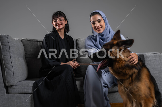 تربية الحيوانات الأليفة في المنزل، العناية والرفق بالحيوان، النظر إلى الكاميرا بإيماءات السرور، بورتريه لشابتين عربيتين خليجيتين سعوديتين ترتديان العباءة السعودية تجلسان على الاريكة بجانب كلب الهاسكي البني الكبير، الاستمتاع باللعب واللهو مع الكلاب، خلفية رمادية