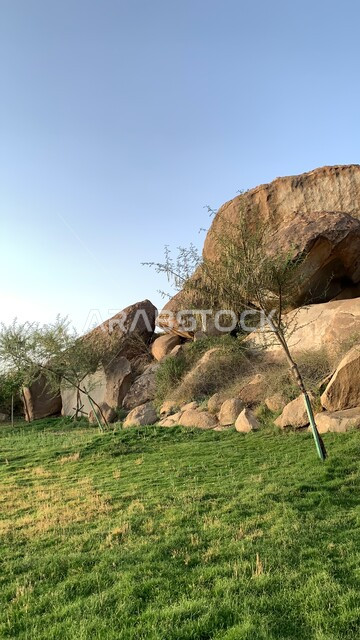 واجهة حضارية وتحفة معمارية، التشكيلات الصخرية والحجرية، أماكن ومناطق عائلية للتنزه والترفيه والمتعة، حدائق ترفيهية سياحية، منتزه الردف في مدينة الطائف، حديقة عامة في المملكة العربية السعودية، المروج والأشجار والنباتات الخضراء