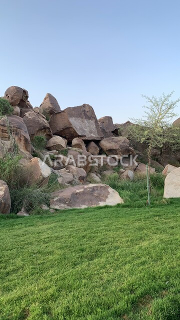 Tourist amusement parks, a cultural façade and an architectural masterpiece, rock and stone formations, family places and areas for picnicking, entertainment and fun, Al-Radaf Park in the city of Taif, a public park in the Kingdom of Saudi Arabia, meadows, trees and green plants.