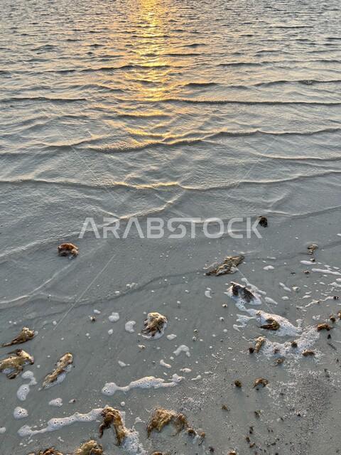 الرحلات والجوالات السياحية في وقت الإجازة الصيفية, الشواطئ الرملية الذهبية الناعمة في المملكة العربية السعودية, الاستمتاع بالمناظر الطبيعية المائية في وقت الغروب, مناطق السياحة وقضاء الوقت الممتع برفقة الأصدقاء في سواحل البحر الأحمر