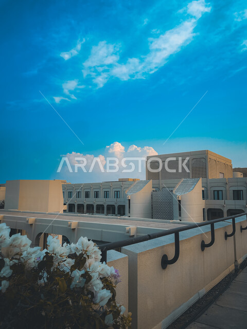 الفنون والتصاميم الهندسية المعمارية على الطراز الحديث لجامعة السلطان قابوس في ولاية السيب ، معالم وأماكن ثقافية مشهورة، أفق التعليم الجامعي العالي والتحديات المستقبلية في سلطنة عمان، بناء أجيال مثقفة في المشآت التعليمية
