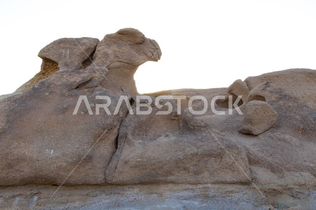 التشكيلات الصخرية للمناطق الأثرية السياحية، الفجوات الفارغة والكهوف والتجاويف الأرضية، صورة مقربة لأشكال أحجار كهف الأمير أحمد في مدينة الرويضة بمحافظة القويعية غرب الرياض، الطبيعة الجبلية والتضاريس في المملكة العربية السعودية .