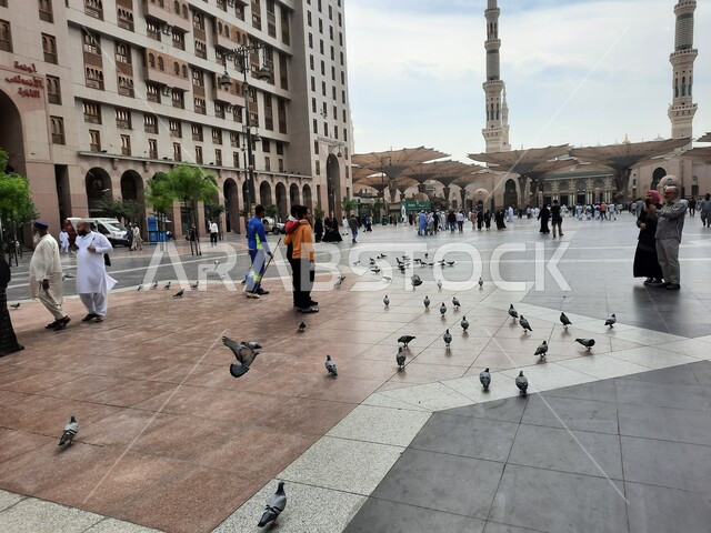 مشهد الطيور في ساحة الحرم النبوي في المدينة المنورة في وضح النهار، الواجهه الخارجية للمسجد النبوي الشريف، معالم وأماكن دينية إسلامية مقدسة في المملكة العربية السعودية، العبادة والتقرب الى الله