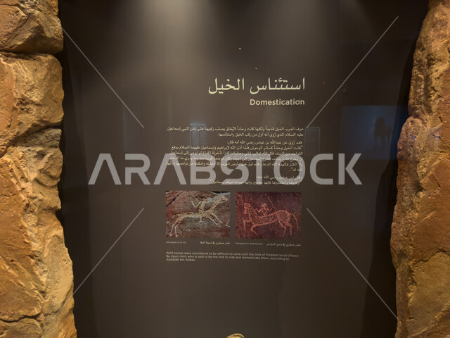 توارث شغف تربية الجياد عند السعوديين، تاريخ الدولة السعودية الأولى، لوحة تعريفية باستئناس الخيل العربي الأصيل في قصر سلوى التاريخي، متاحف الدرعية في مطل البجيري في حي الطريف، القرية التاريخية التراثية في مدينة الرياض، متحف ومعلم ثقافي سياحي تاريخي مشهور